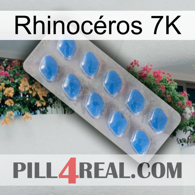Rhinocéros 7K 22